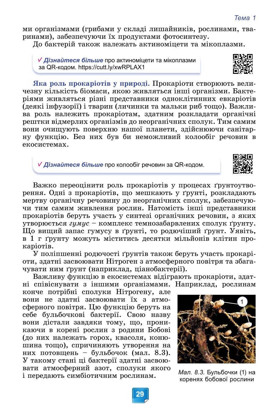 Мініатюра 29
