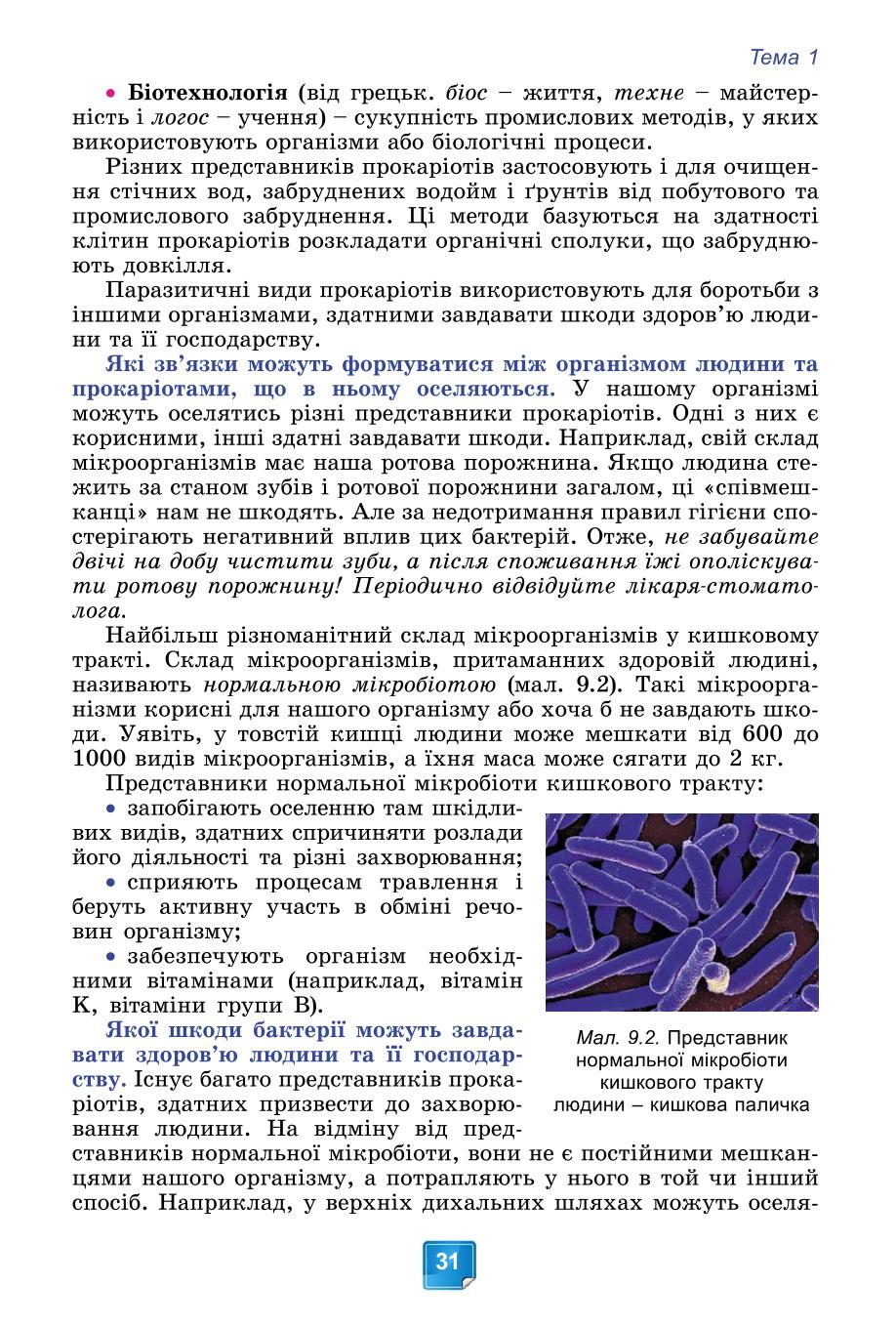 Мініатюра 31