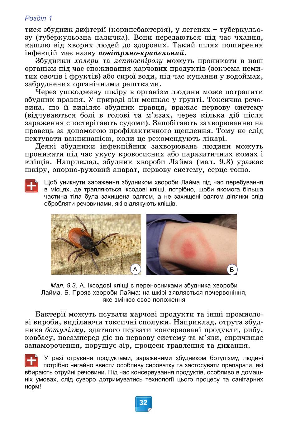 Мініатюра 32
