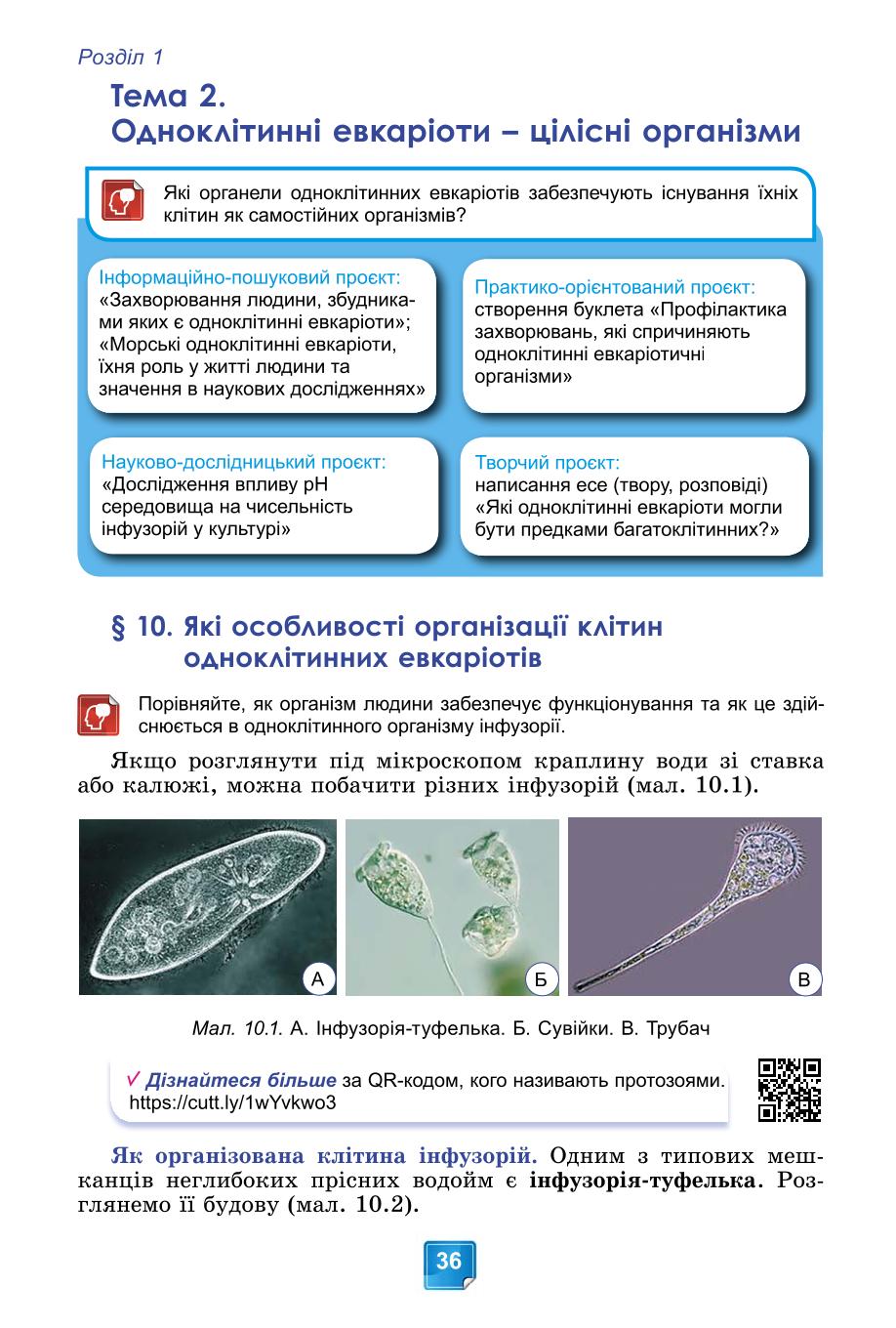 Мініатюра 36