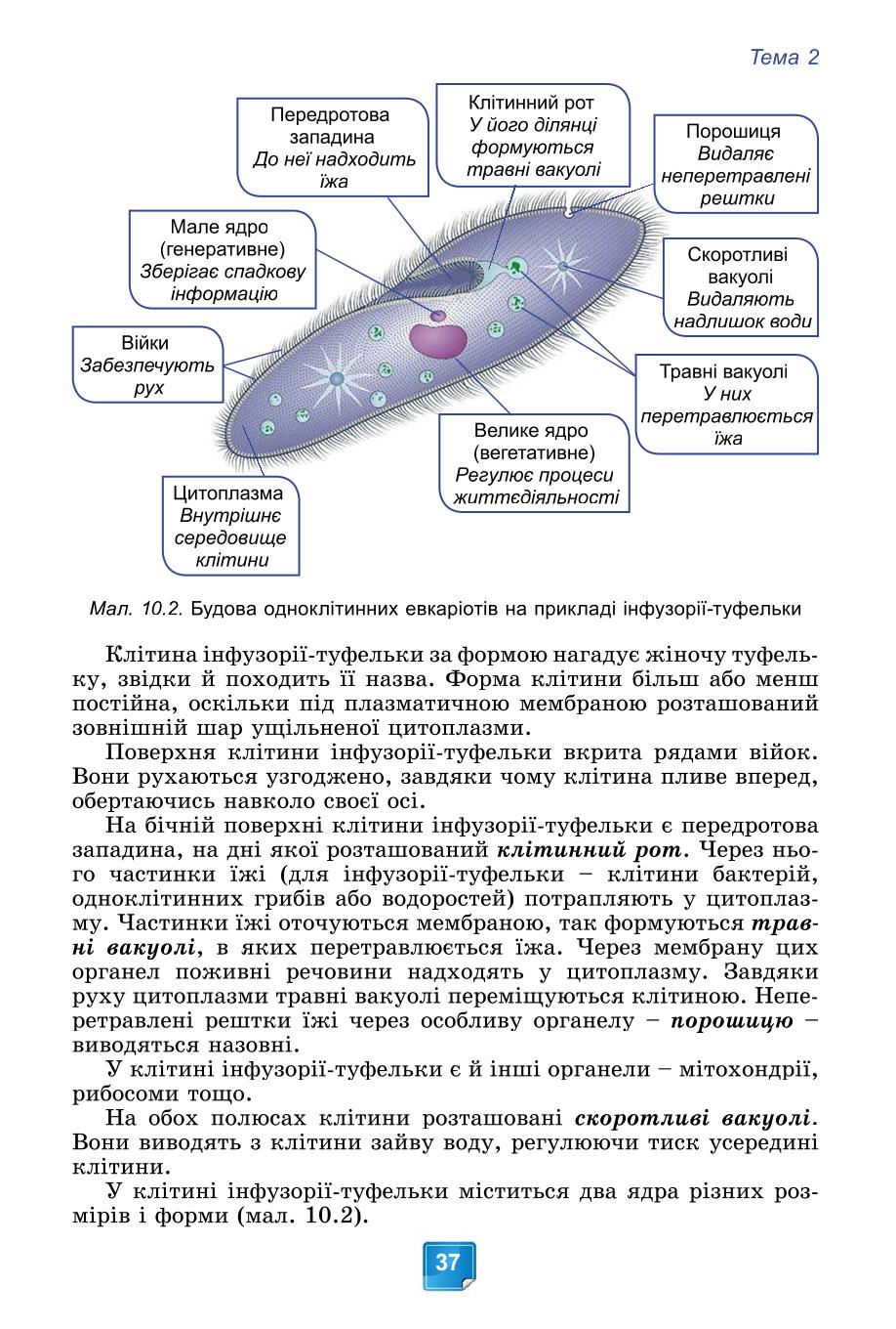 Мініатюра 37