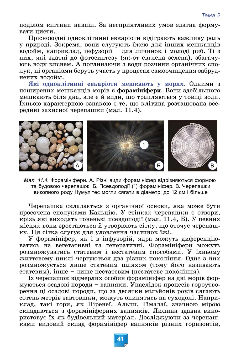 Мініатюра 41