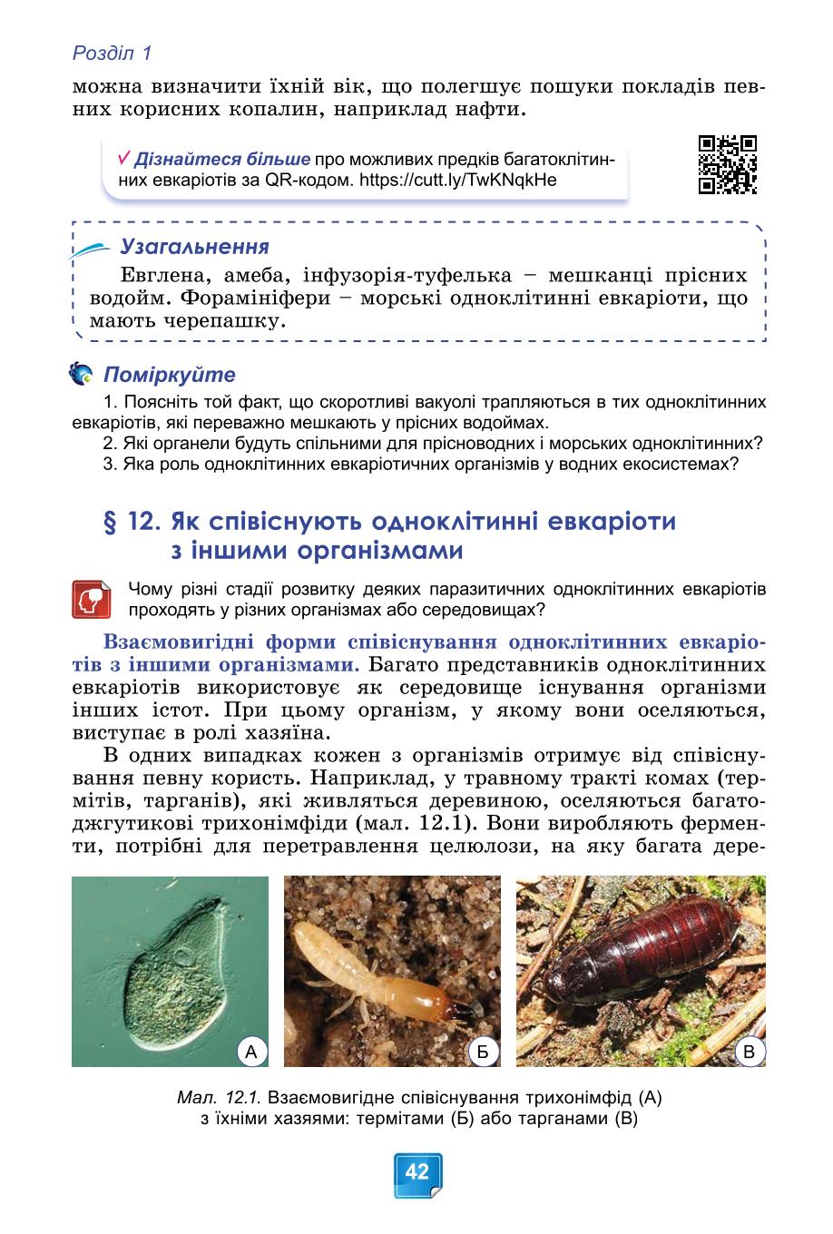 Мініатюра 42
