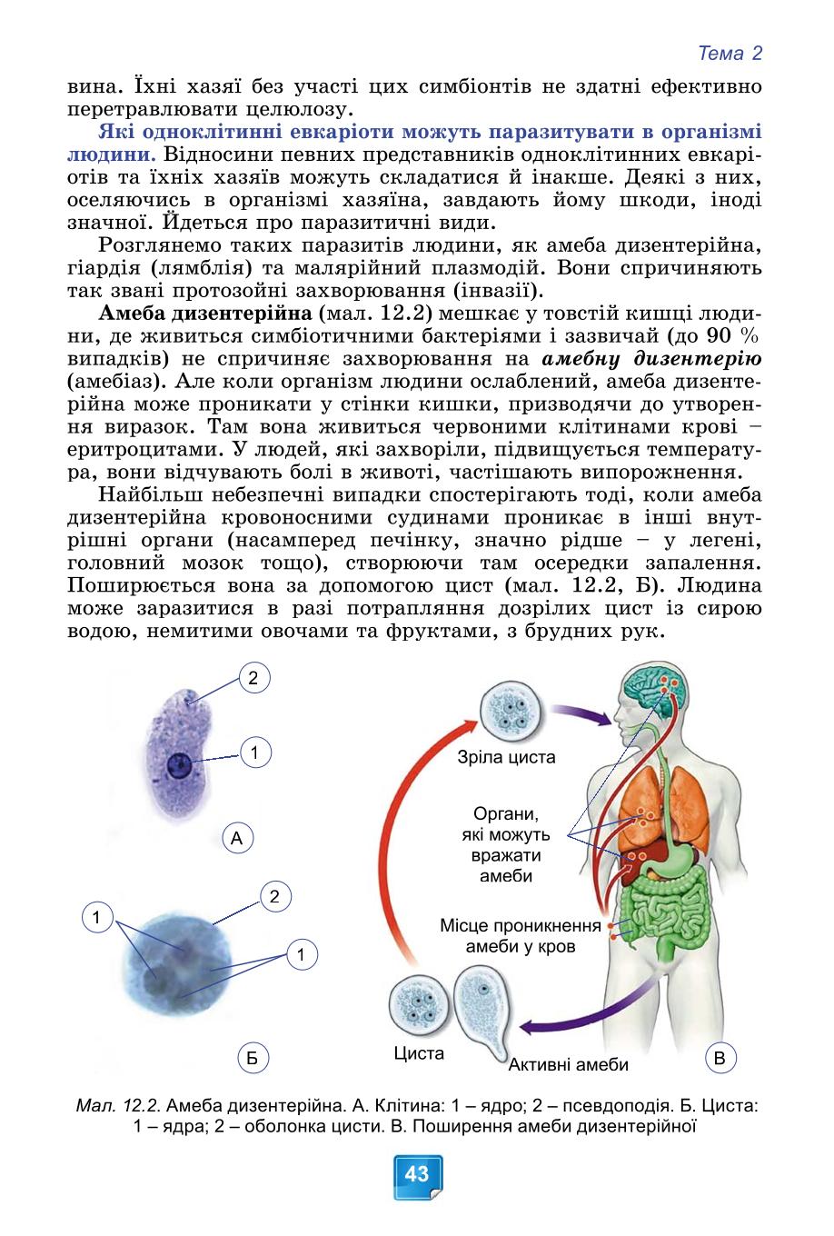 Мініатюра 43