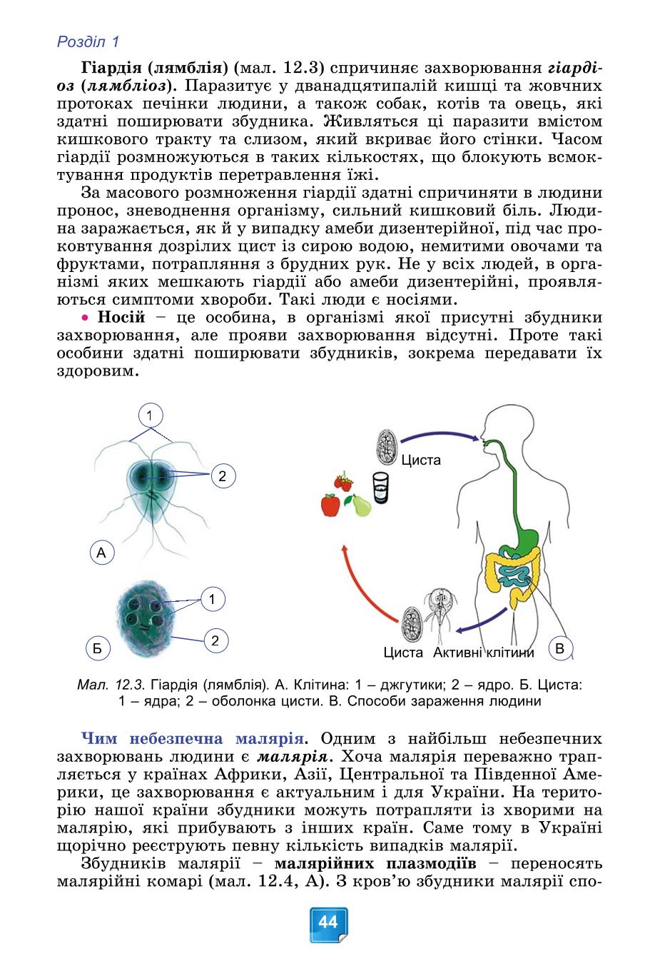 Мініатюра 44
