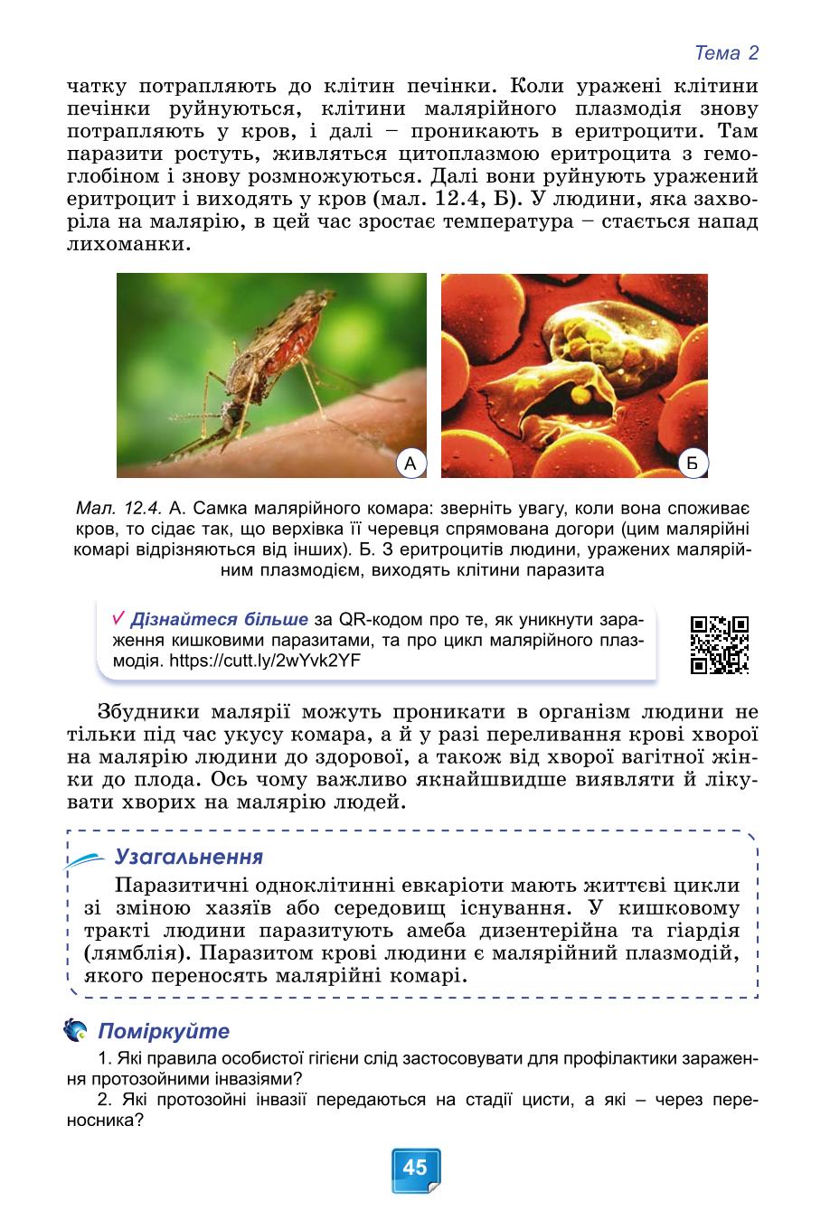 Мініатюра 45