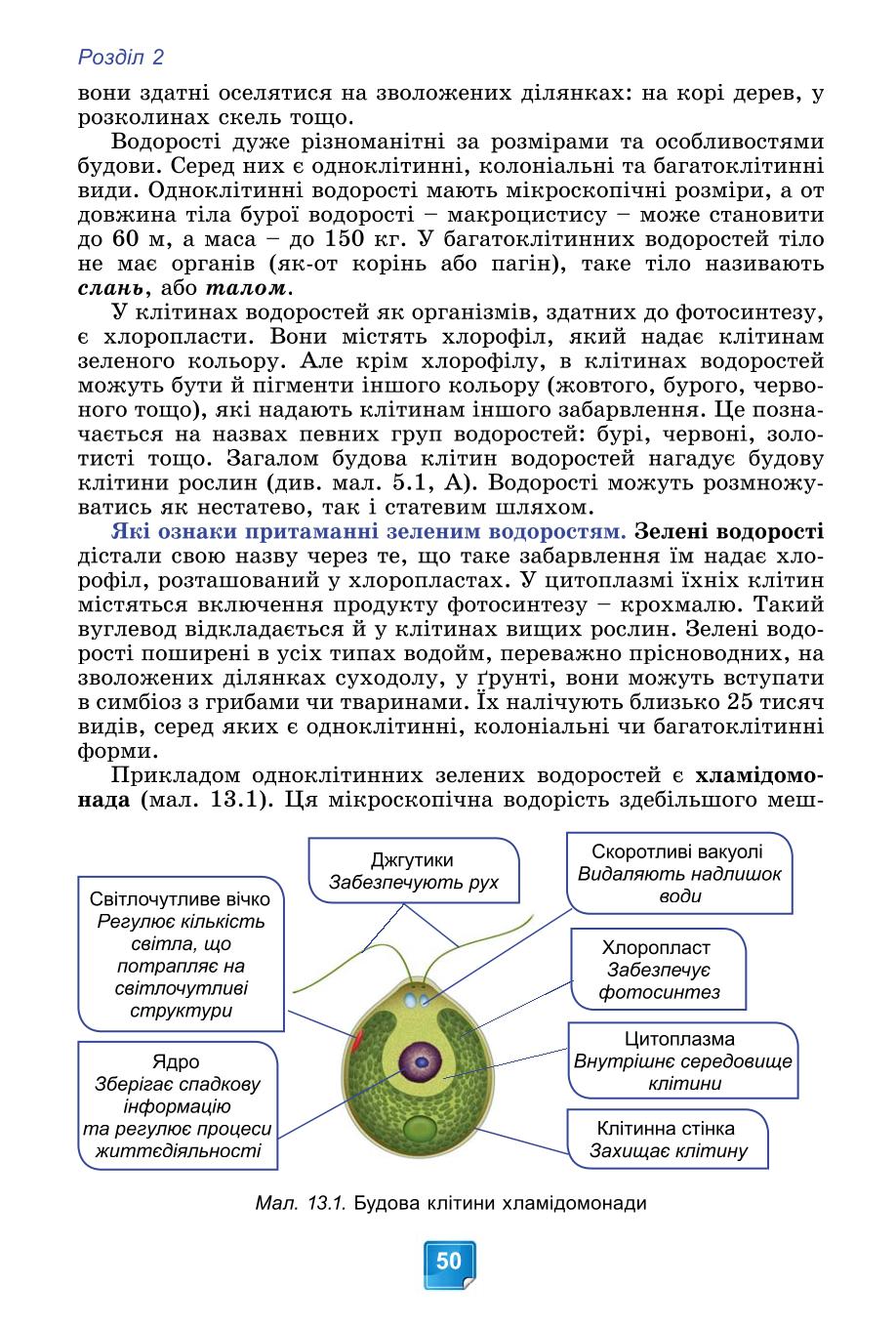 Мініатюра 50