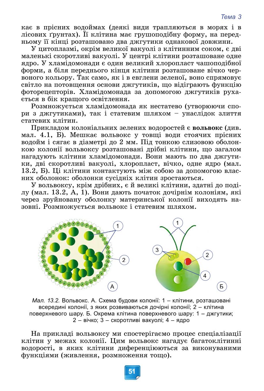 Мініатюра 51