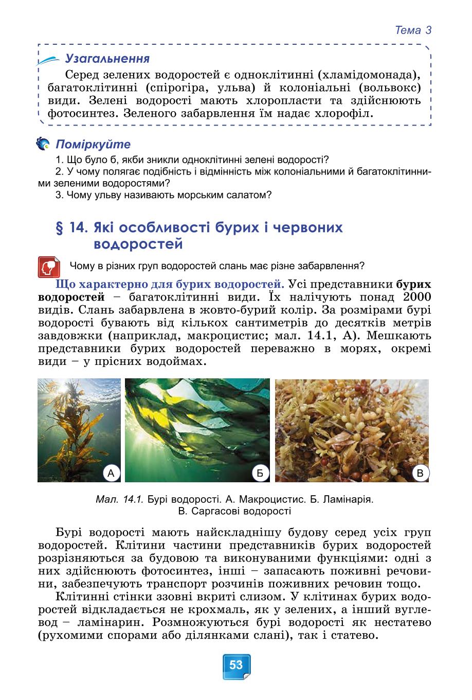 Мініатюра 53