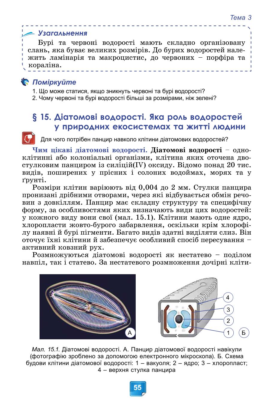 Мініатюра 55