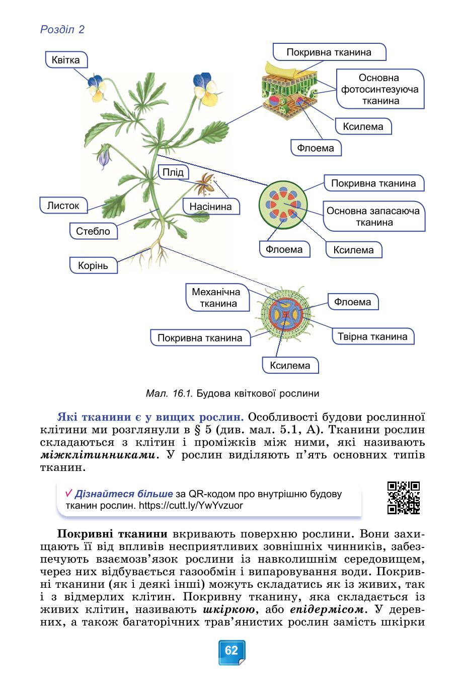Мініатюра 62