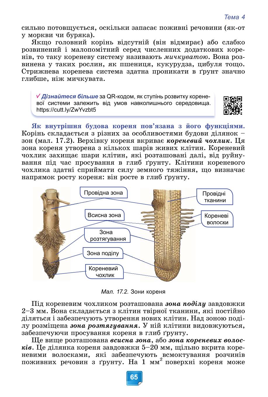 Мініатюра 65