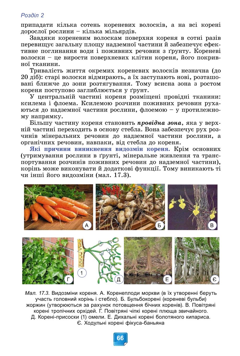 Мініатюра 66