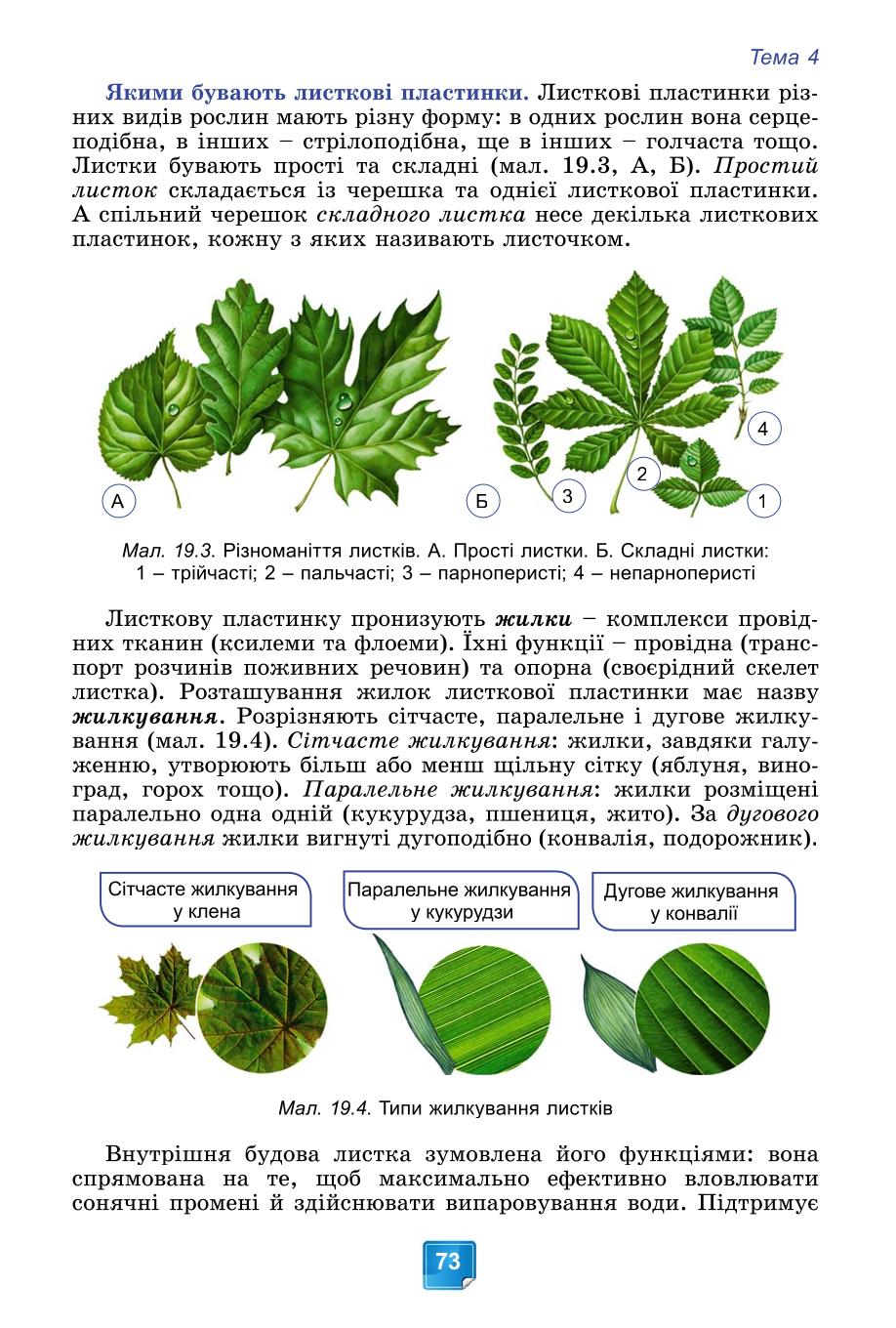 Мініатюра 73