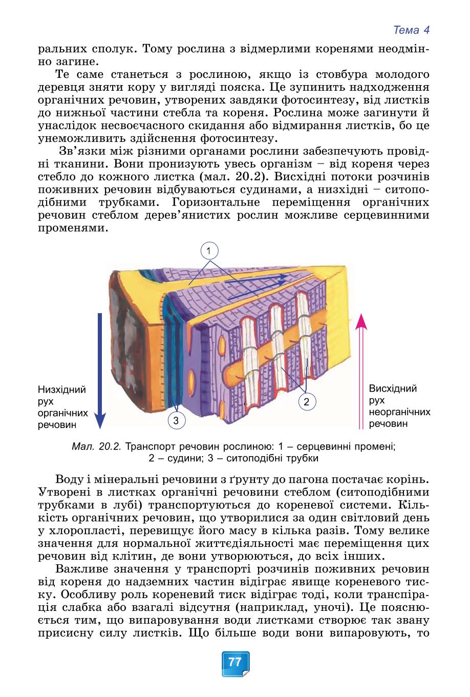 Мініатюра 77