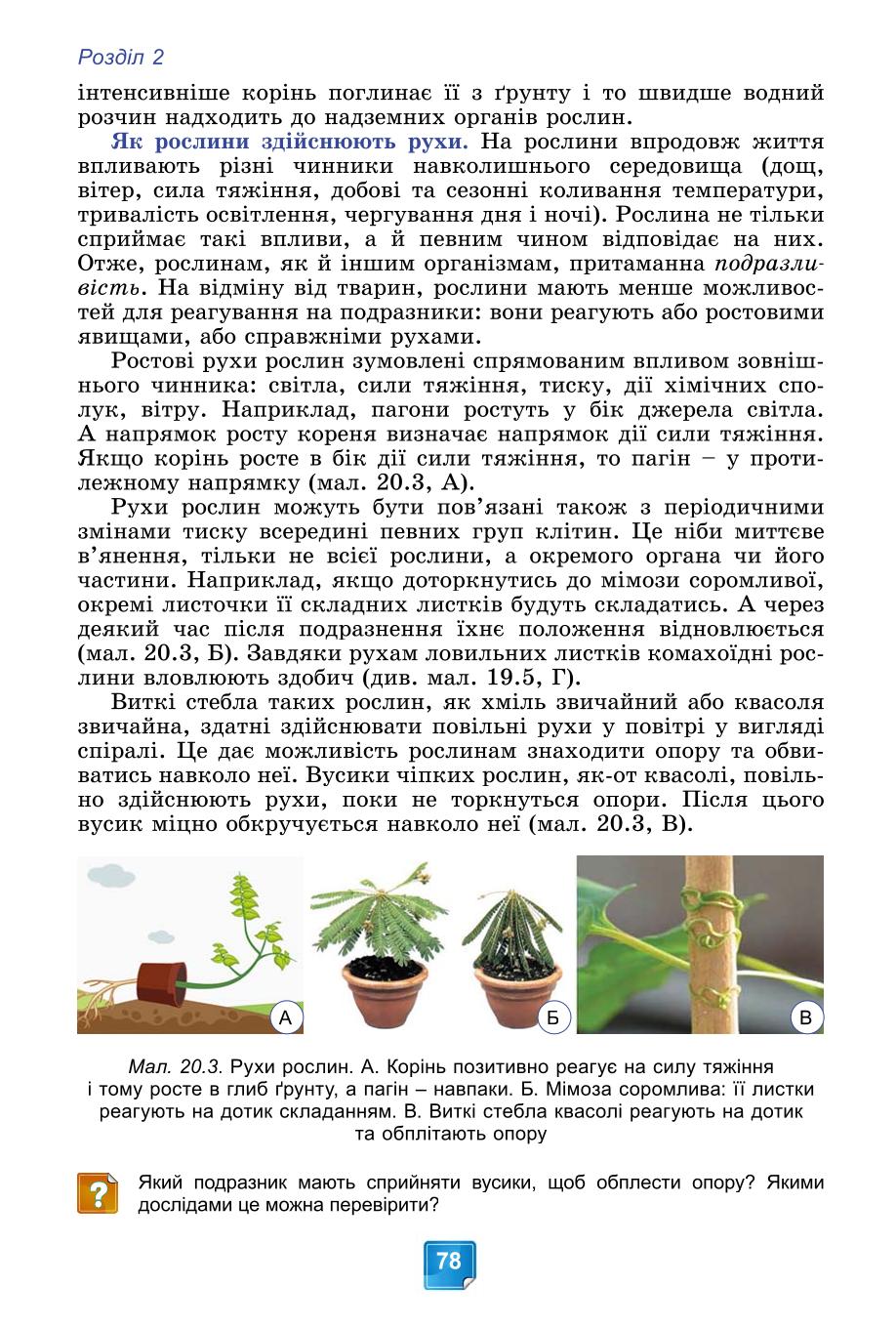 Мініатюра 78