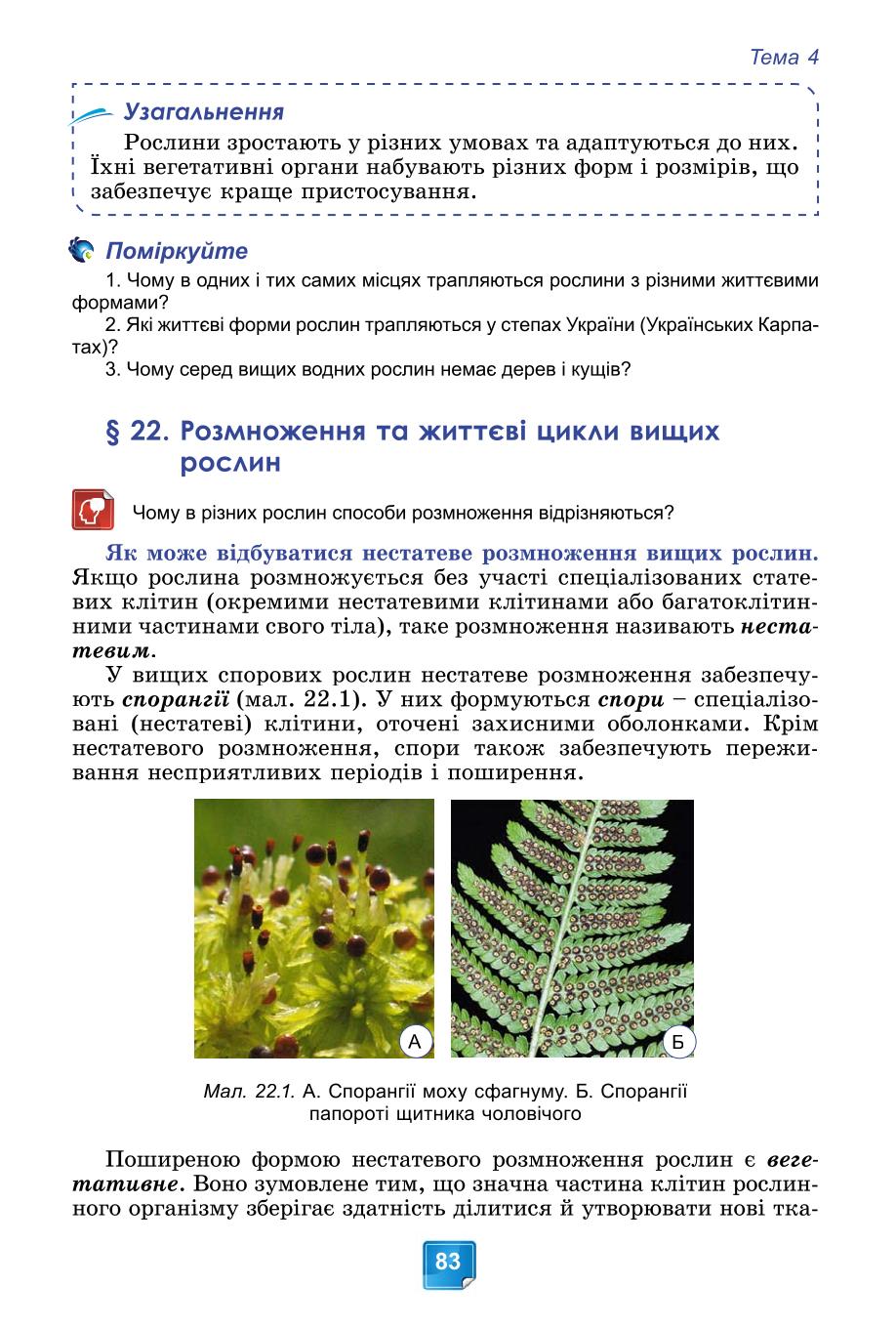 Мініатюра 83
