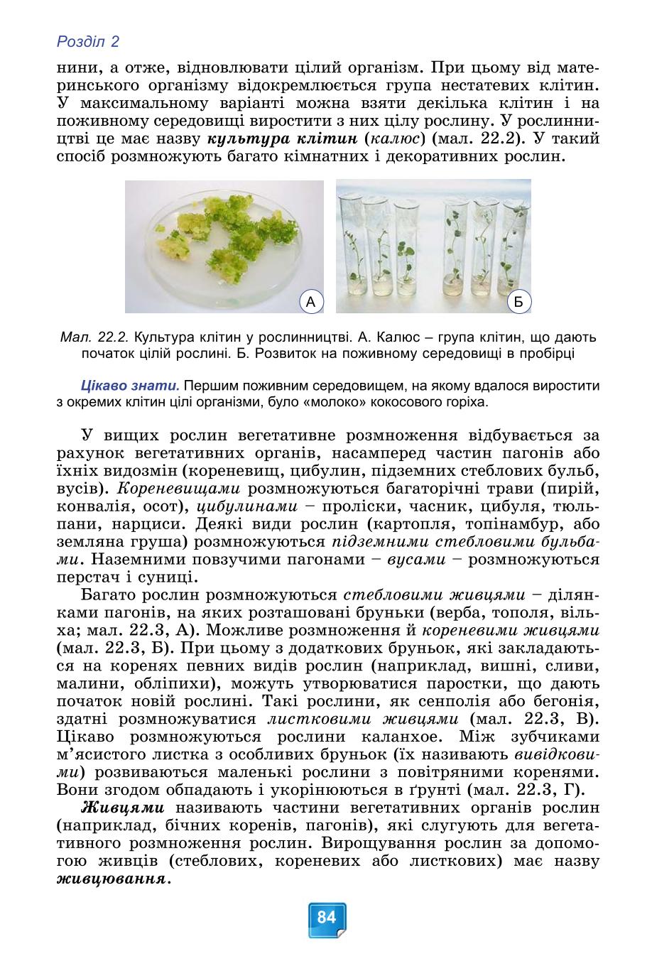 Мініатюра 84