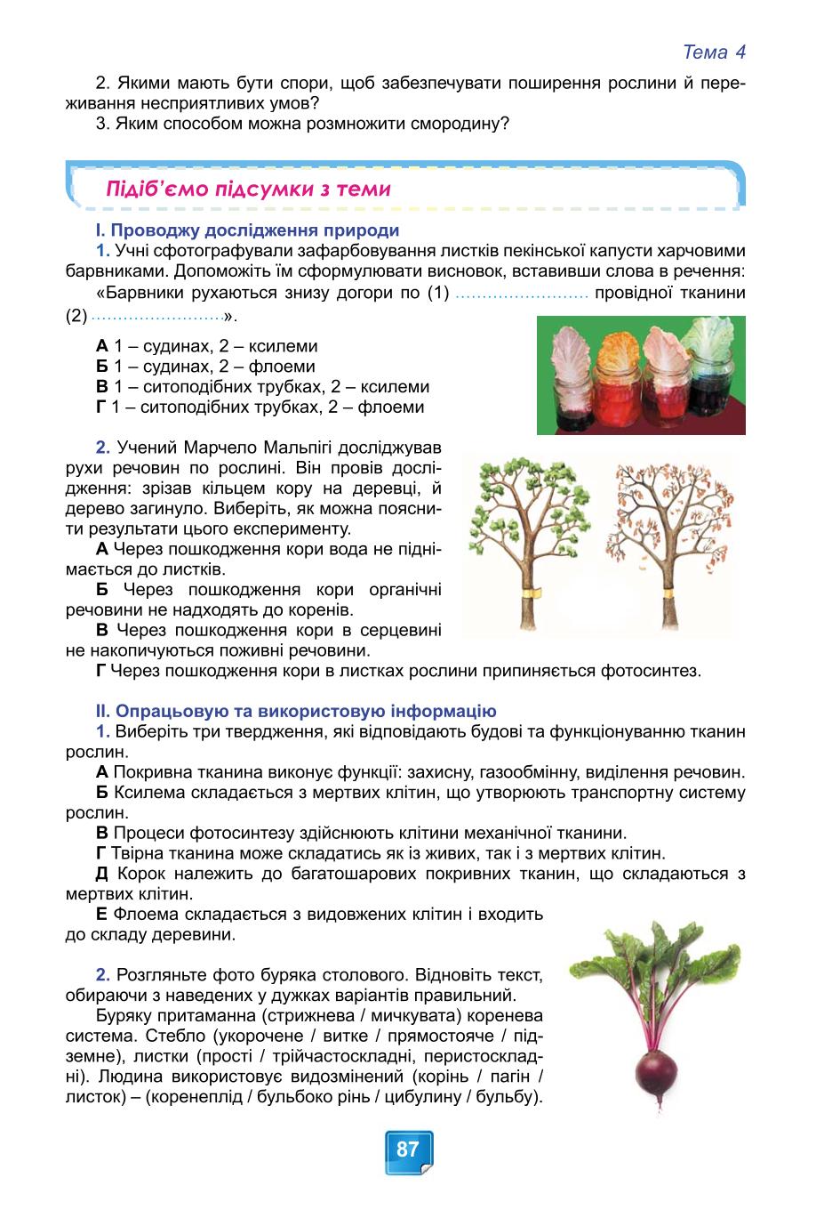 Мініатюра 87