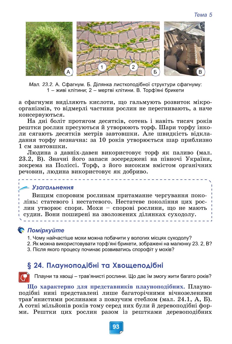 Мініатюра 93