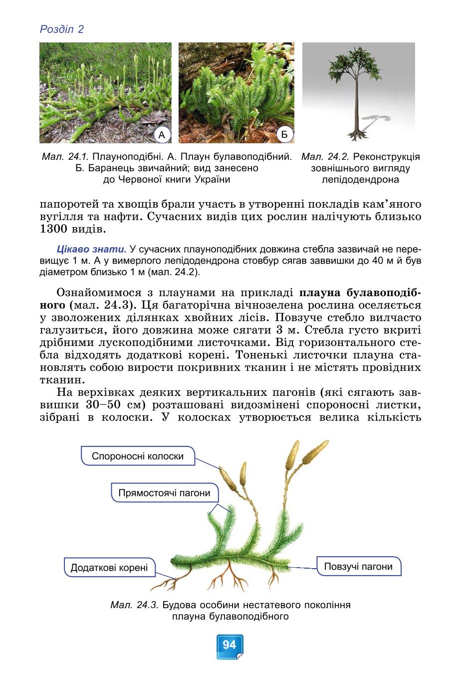 Мініатюра 94