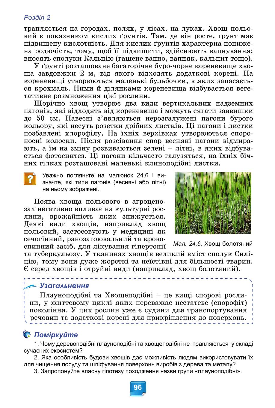 Мініатюра 96