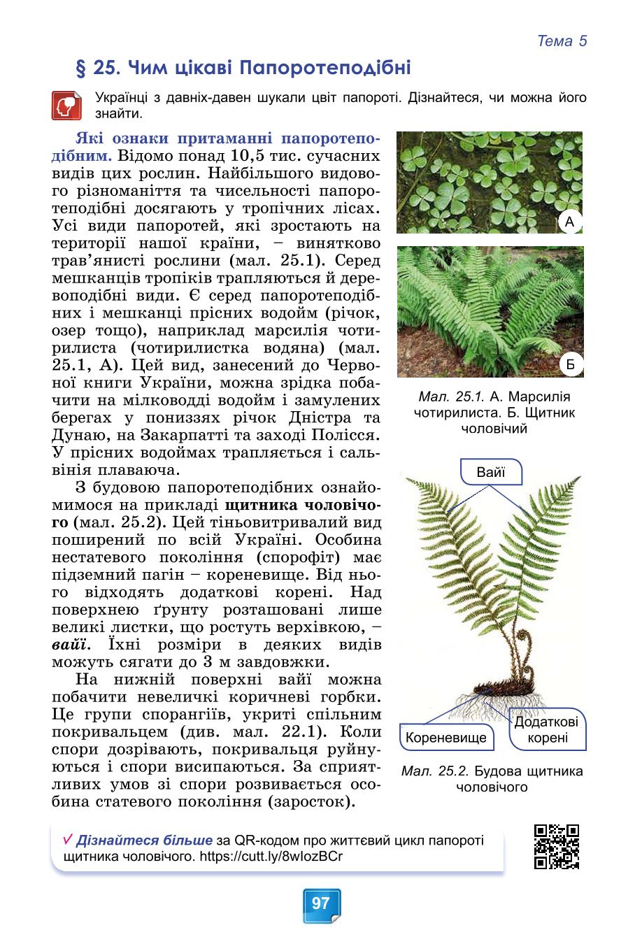 Мініатюра 97