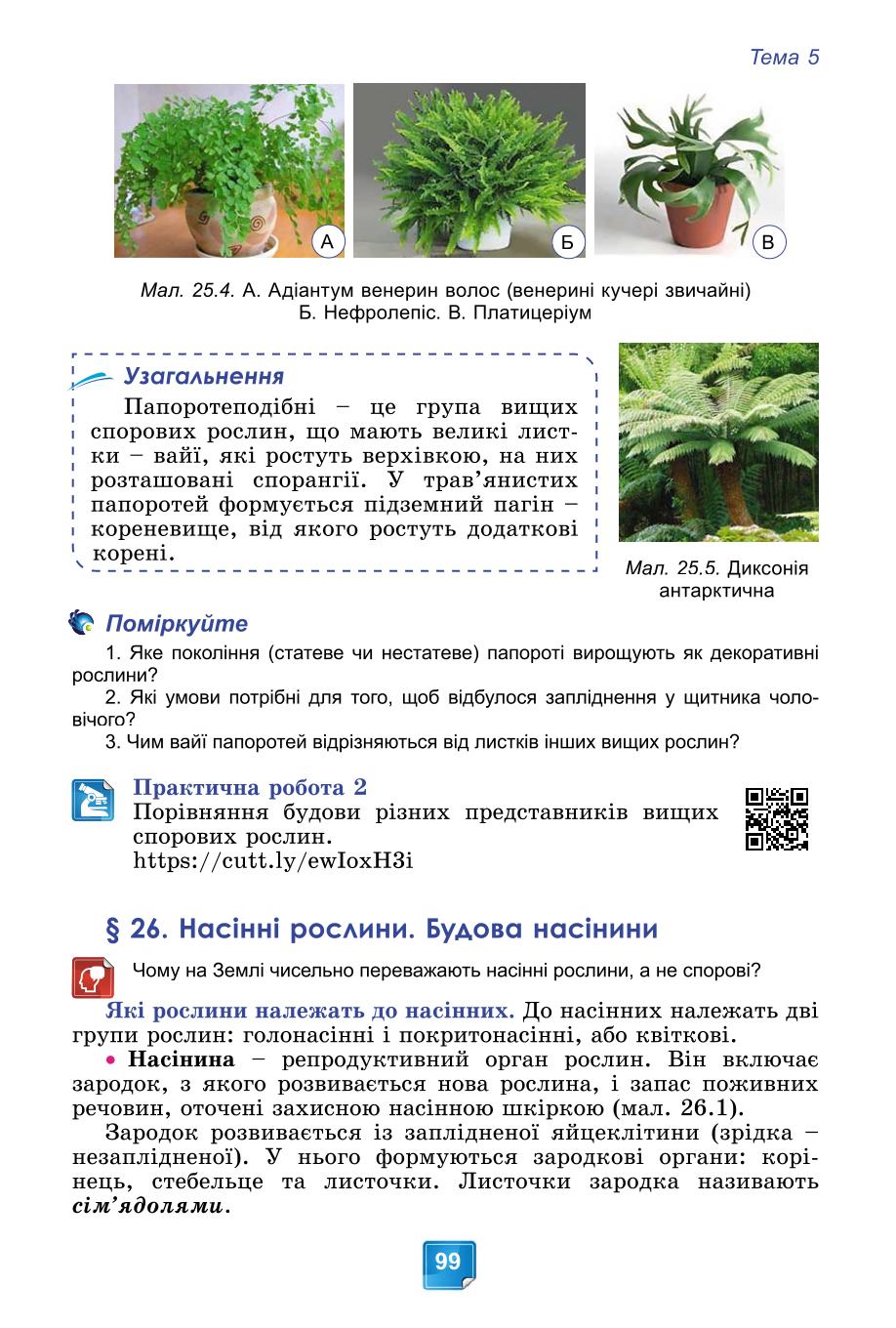 Мініатюра 99