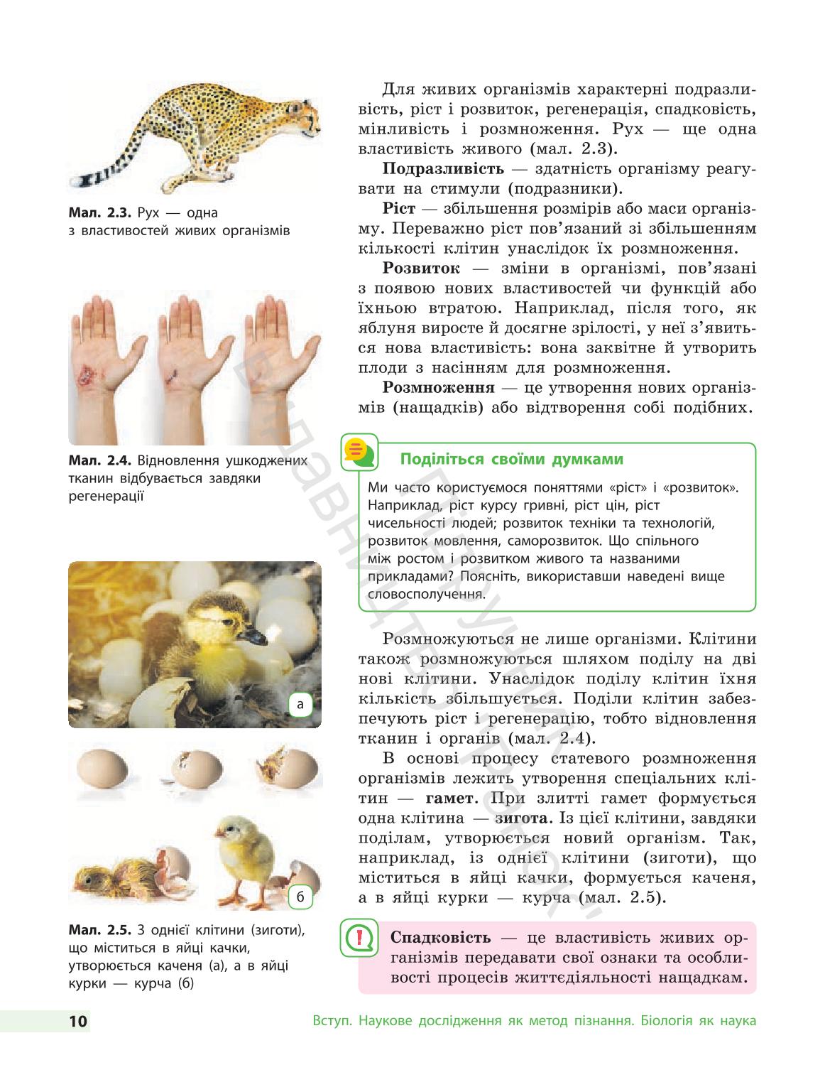 Мініатюра 10
