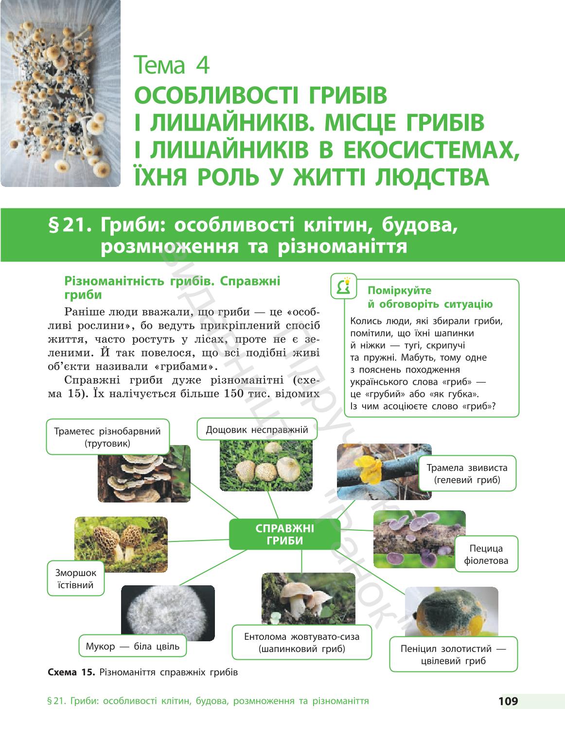 Мініатюра 109