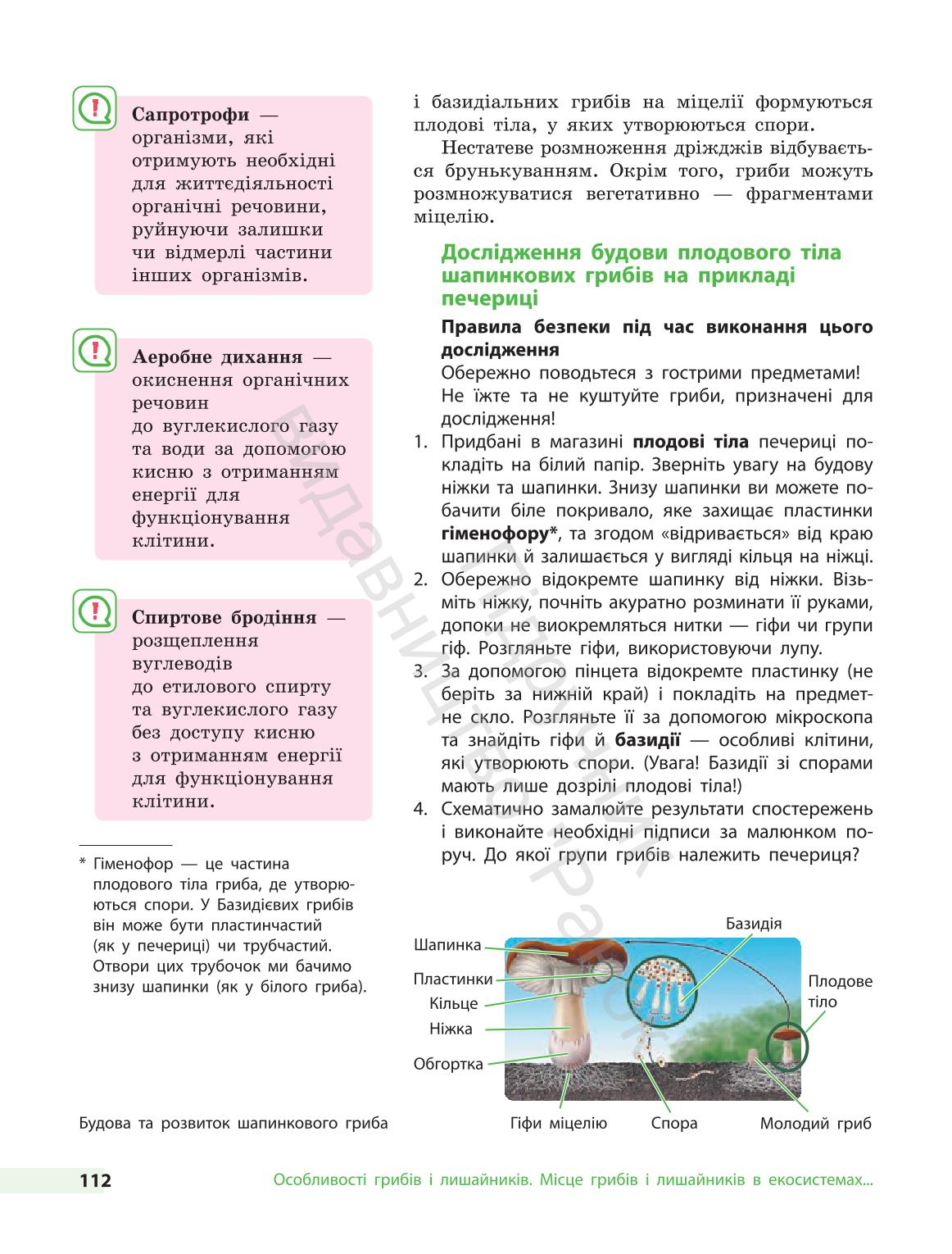 Мініатюра 112