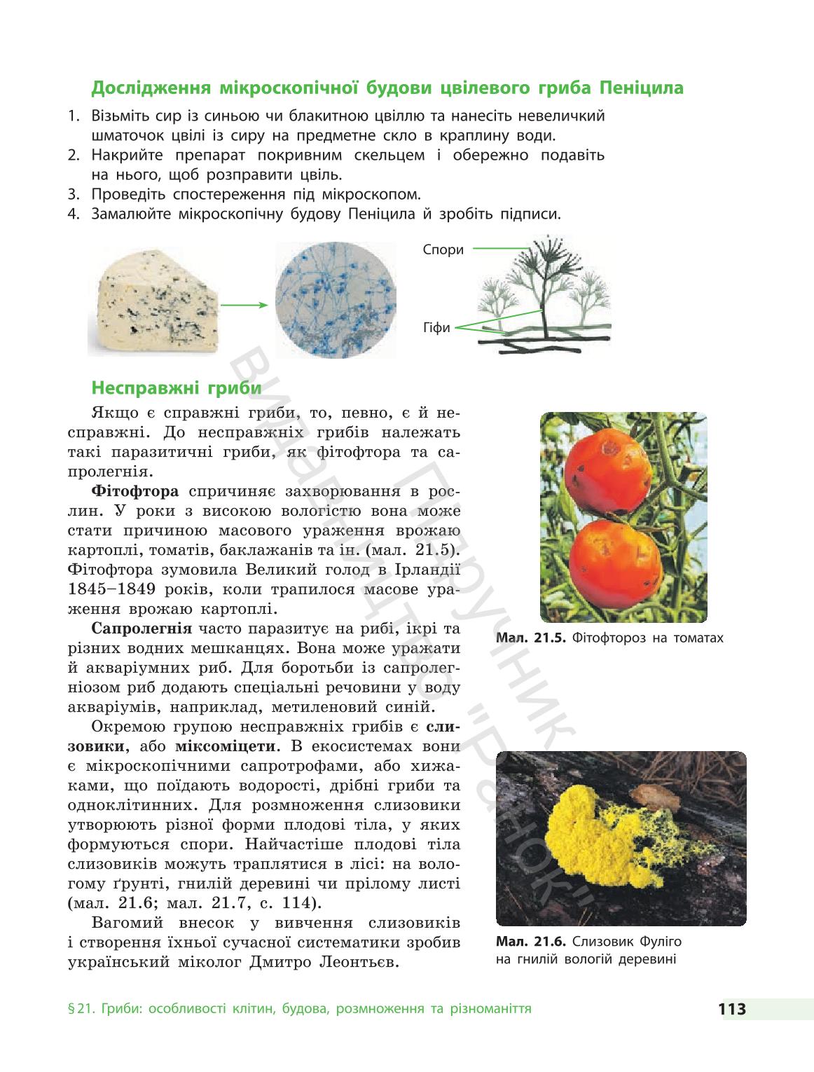 Мініатюра 113