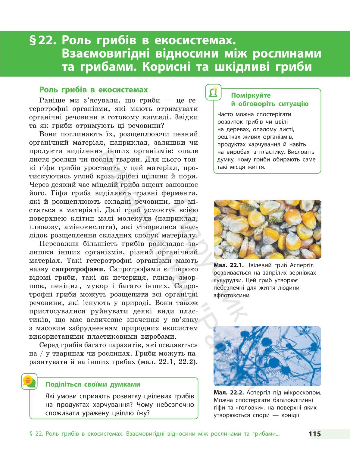 Мініатюра 115