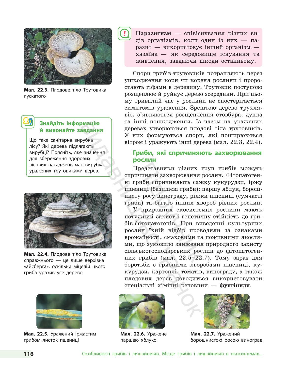 Мініатюра 116