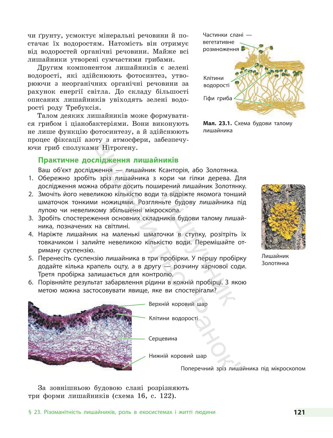 Мініатюра 121