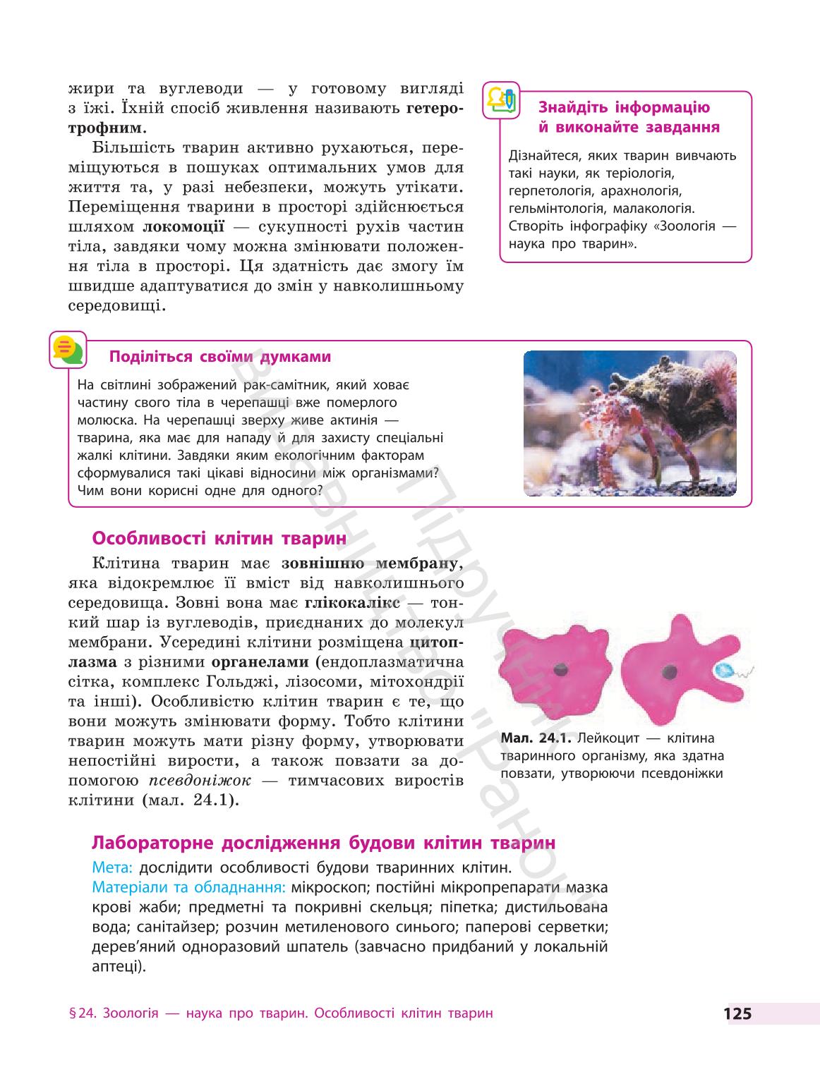 Мініатюра 125