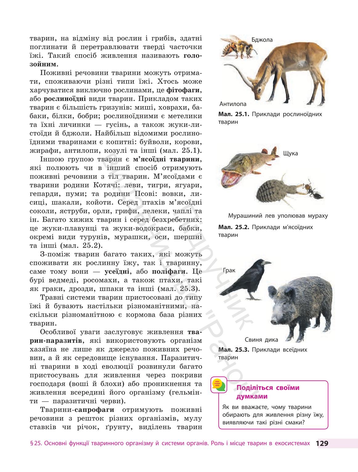 Мініатюра 129