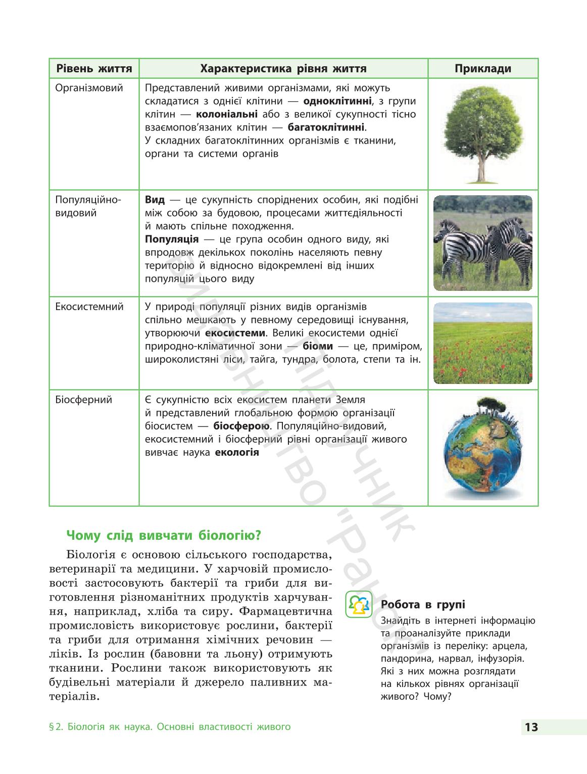 Мініатюра 13