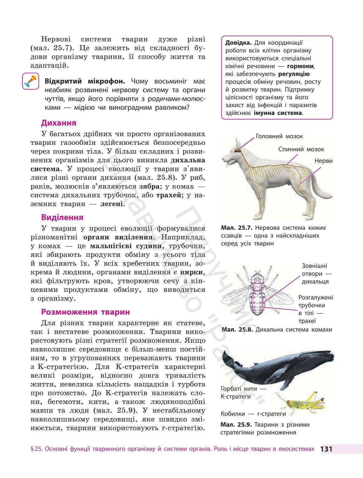 Мініатюра 131