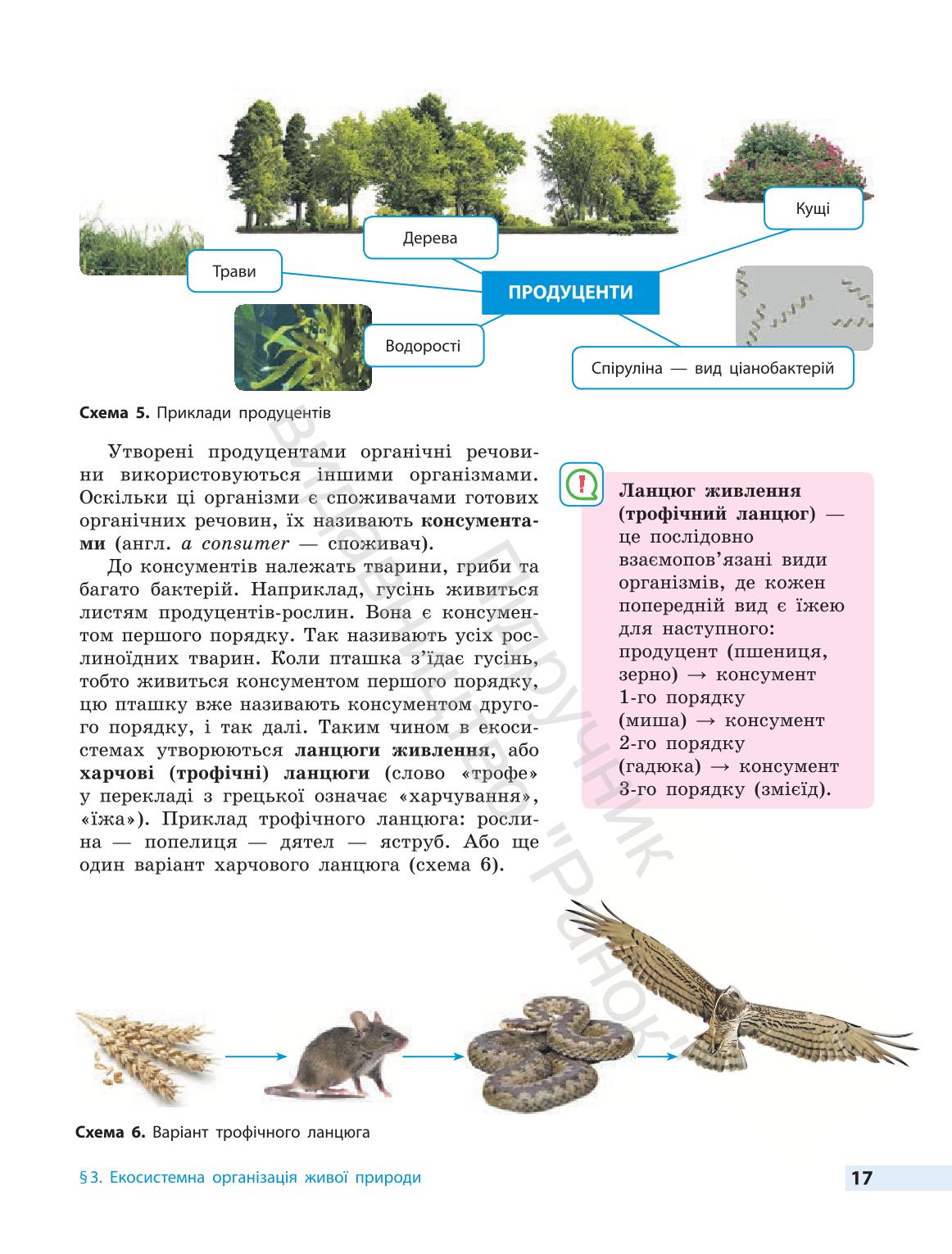 Мініатюра 17