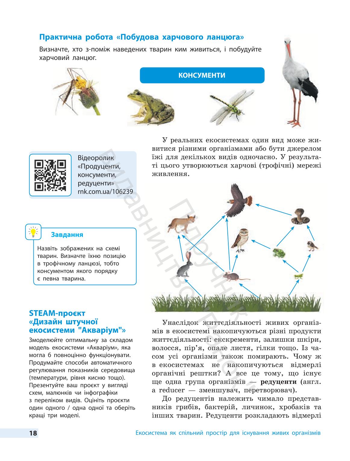 Мініатюра 18
