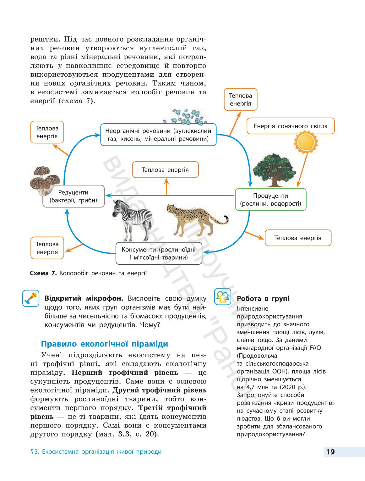 Мініатюра 19