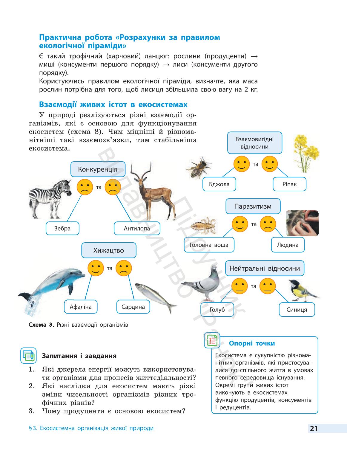 Мініатюра 21