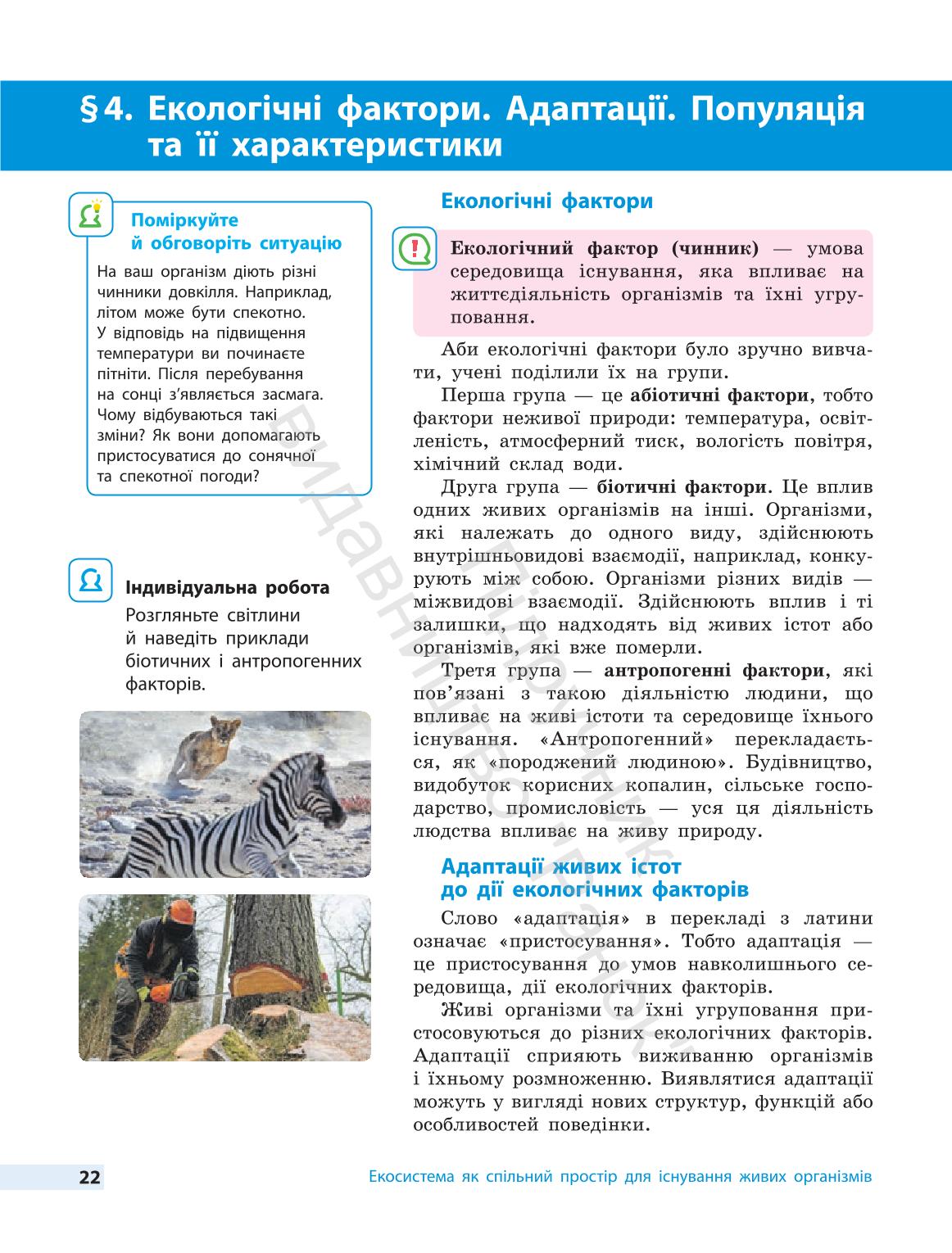 Мініатюра 22