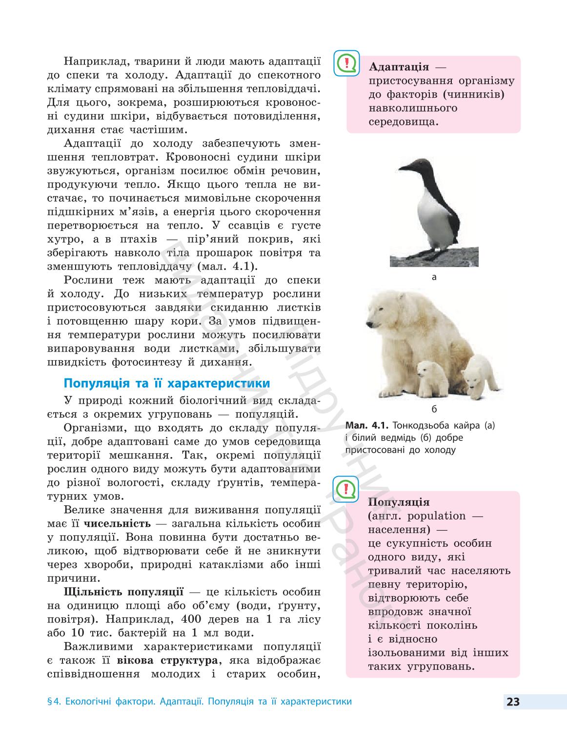 Мініатюра 23