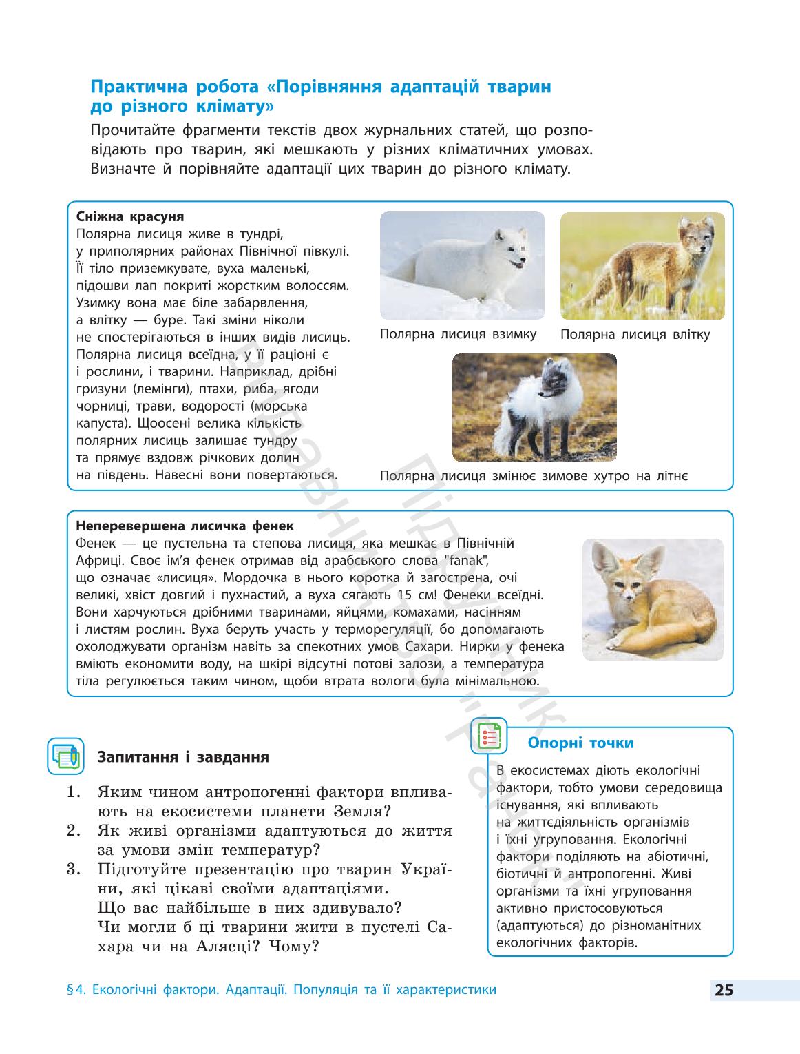 Мініатюра 25