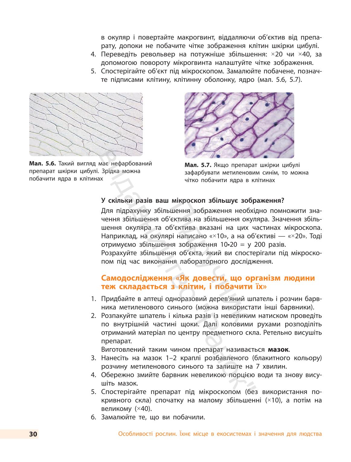 Мініатюра 30
