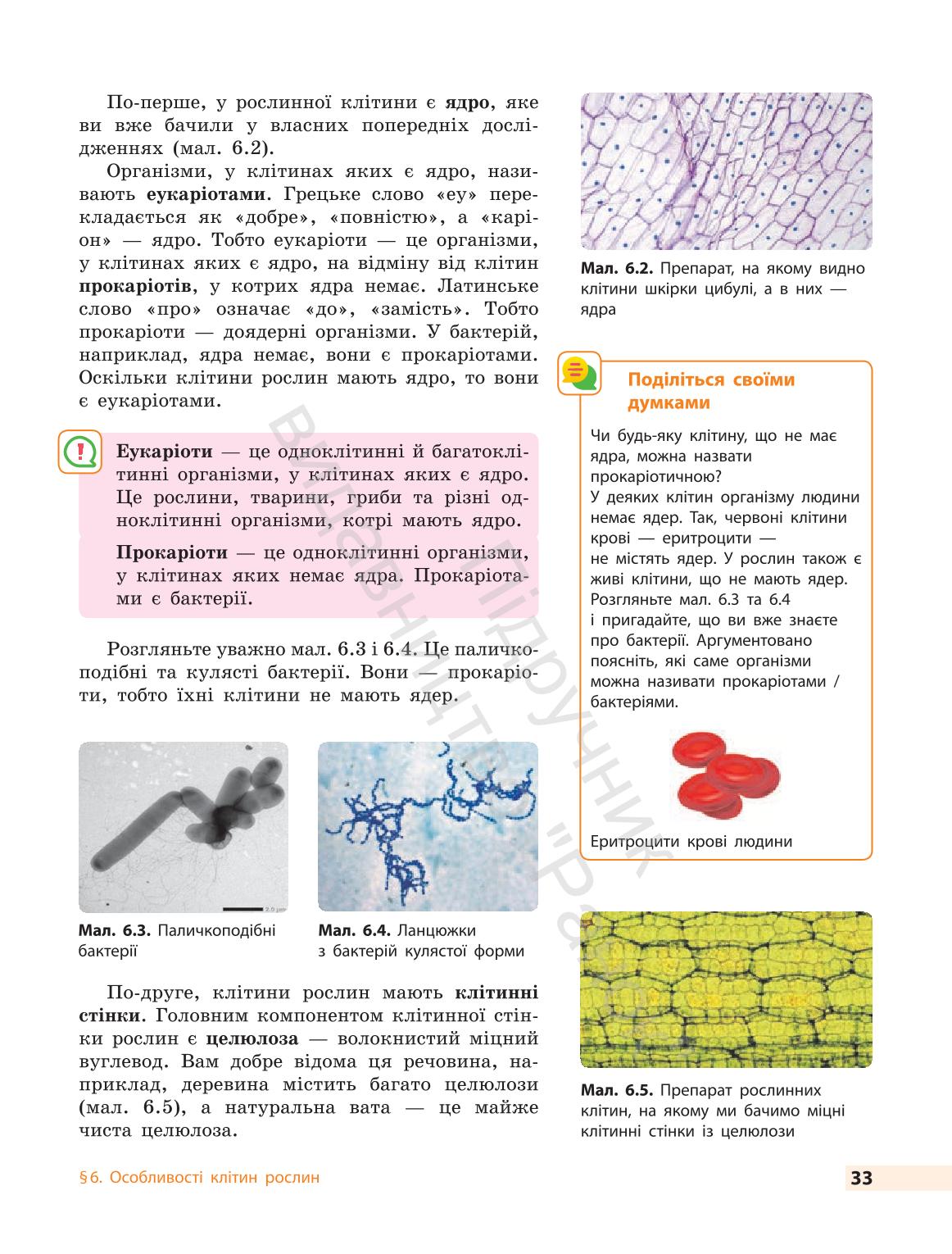 Мініатюра 33