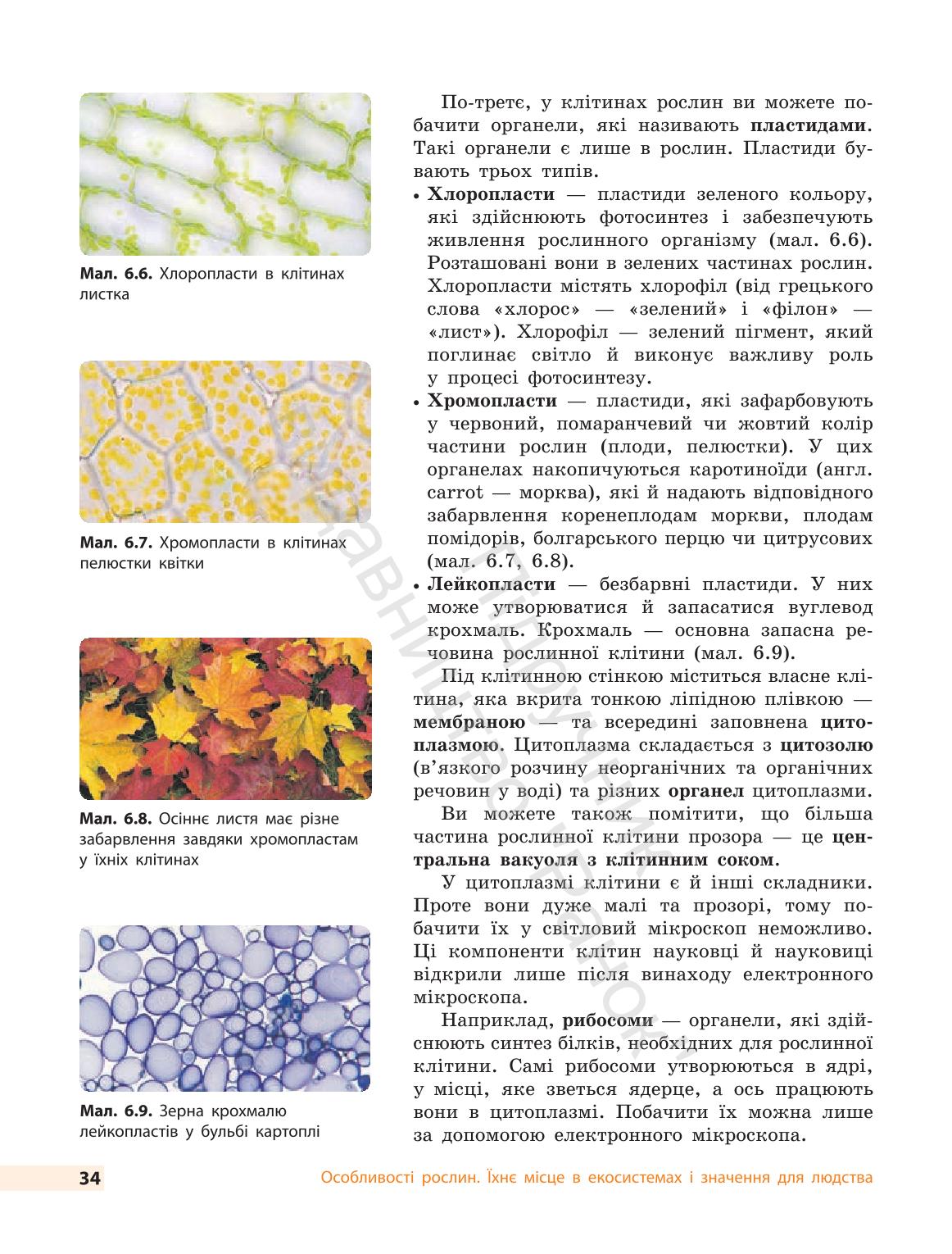 Мініатюра 34
