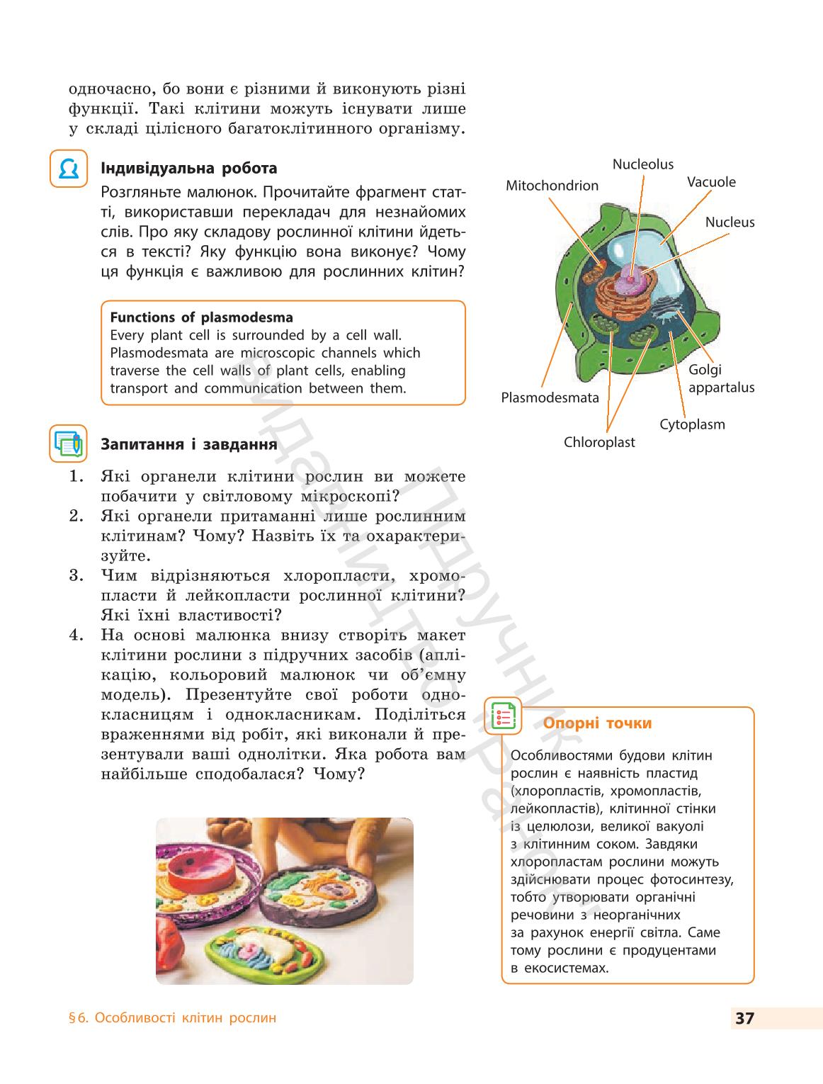 Мініатюра 37